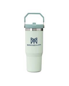 Stanley IceFlow™ Flip Straw Tumbler 30oz