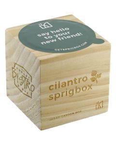 Sprigbox Cilantro Grow Kit