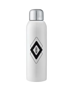 Guzzle 28oz Stainless Sports Bottle