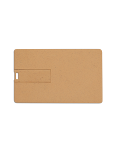 Broadview Eco-Friendly Card USB