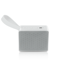 Echo Park Bluetooth Speaker