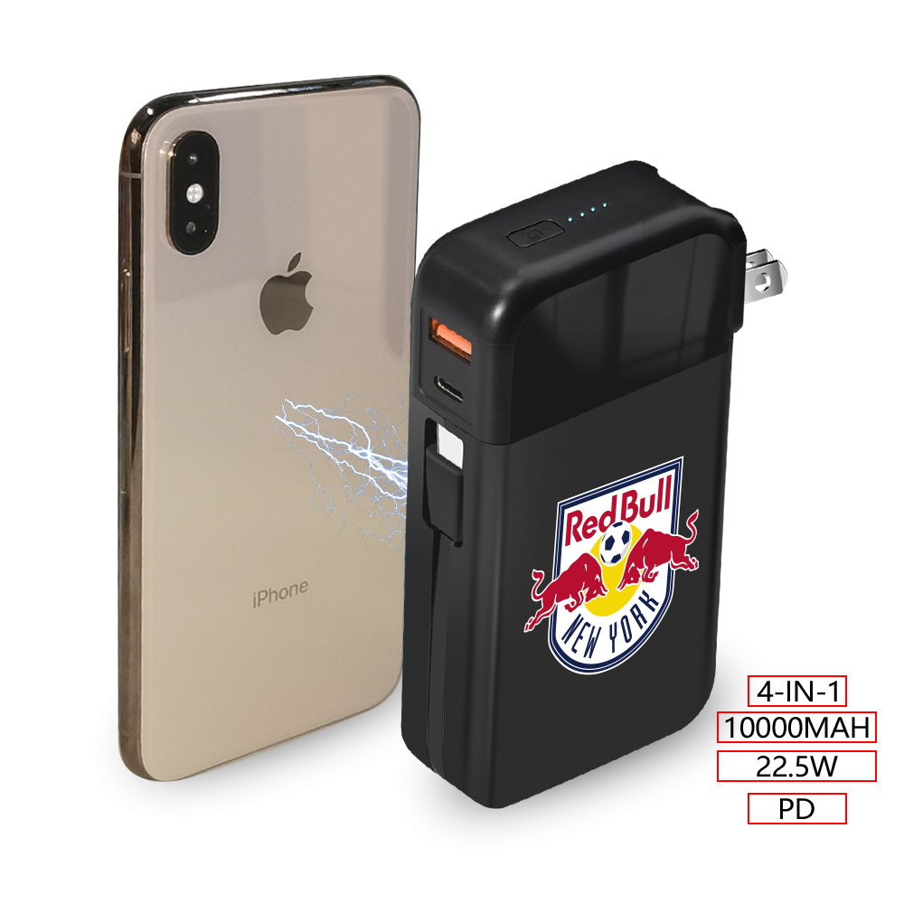 Oroville Power Bank and Wall Charger 10000