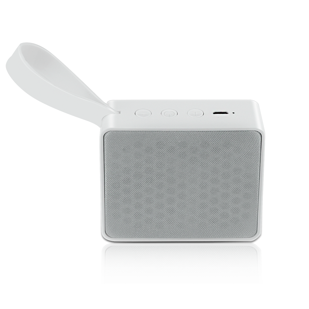 Echo Park Bluetooth Speaker